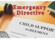 COVID-19 and Child Support: State Guidelines