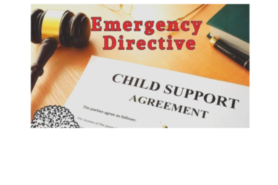 COVID-19 and Child Support: State Guidelines