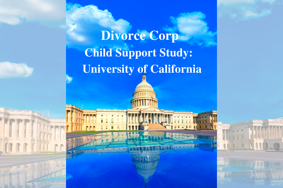 Divorce Corp: Child Support Study in 2015