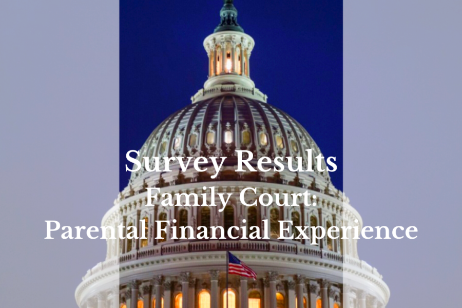 Survey Results: Parental Financial Experiences in Family Court